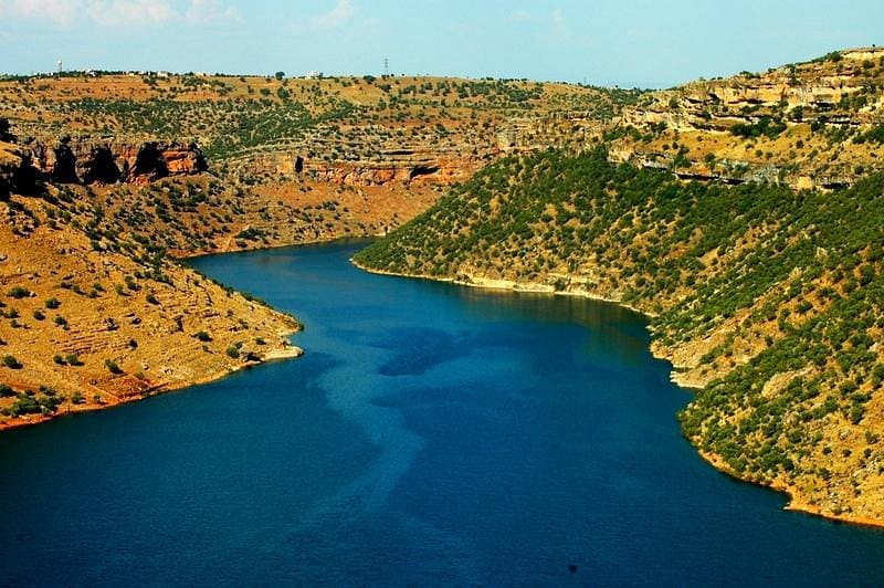 Tigris