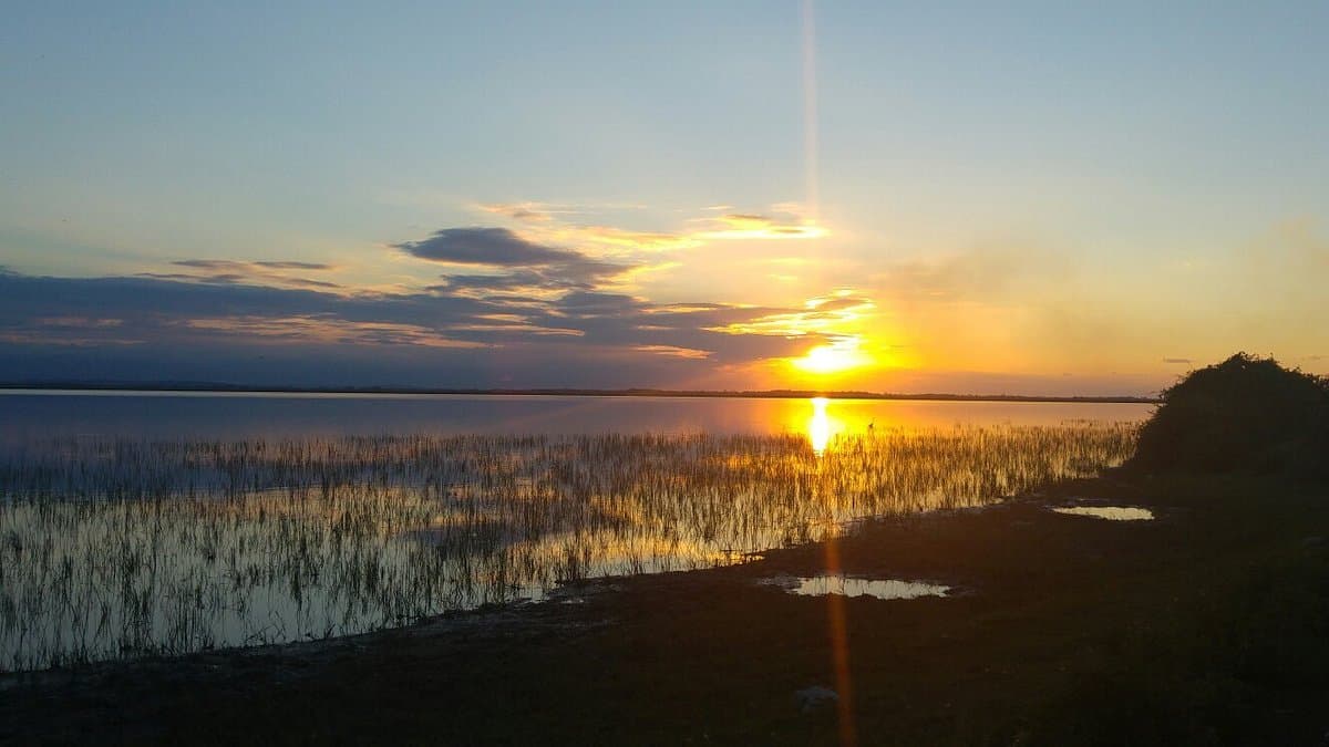 Vogelparadies Kuş Cenneti