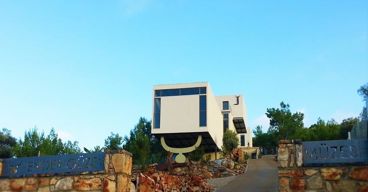 Ender Guzey Museum ARThill