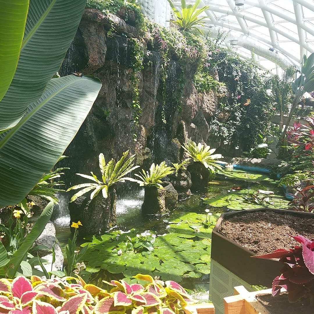 Tropischer Schmetterlingsgarten Konya