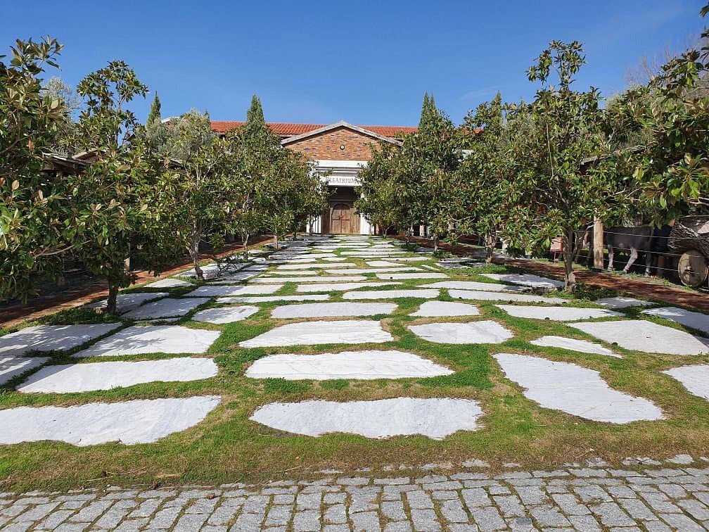Oleatrium Olivenölmuseum