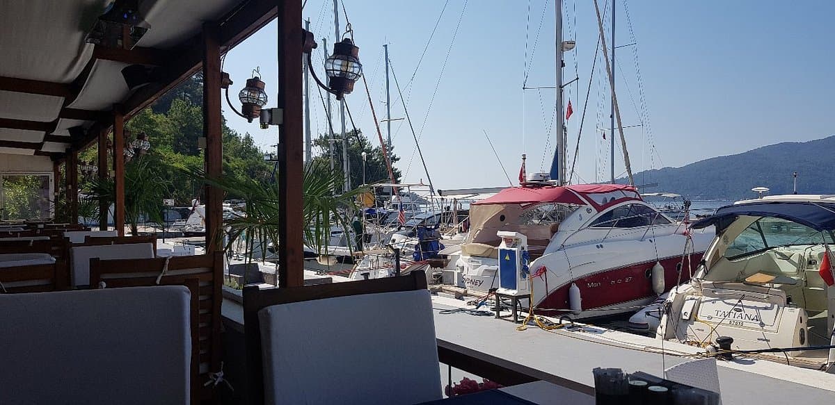 Albatros Marina
