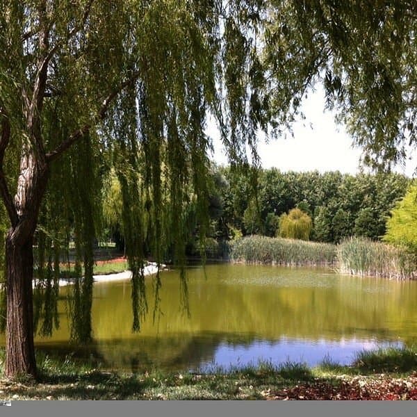 Botanischer Park Soğanlı