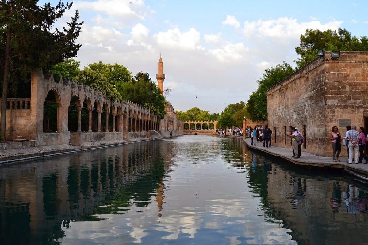 Ayn Zeliha See