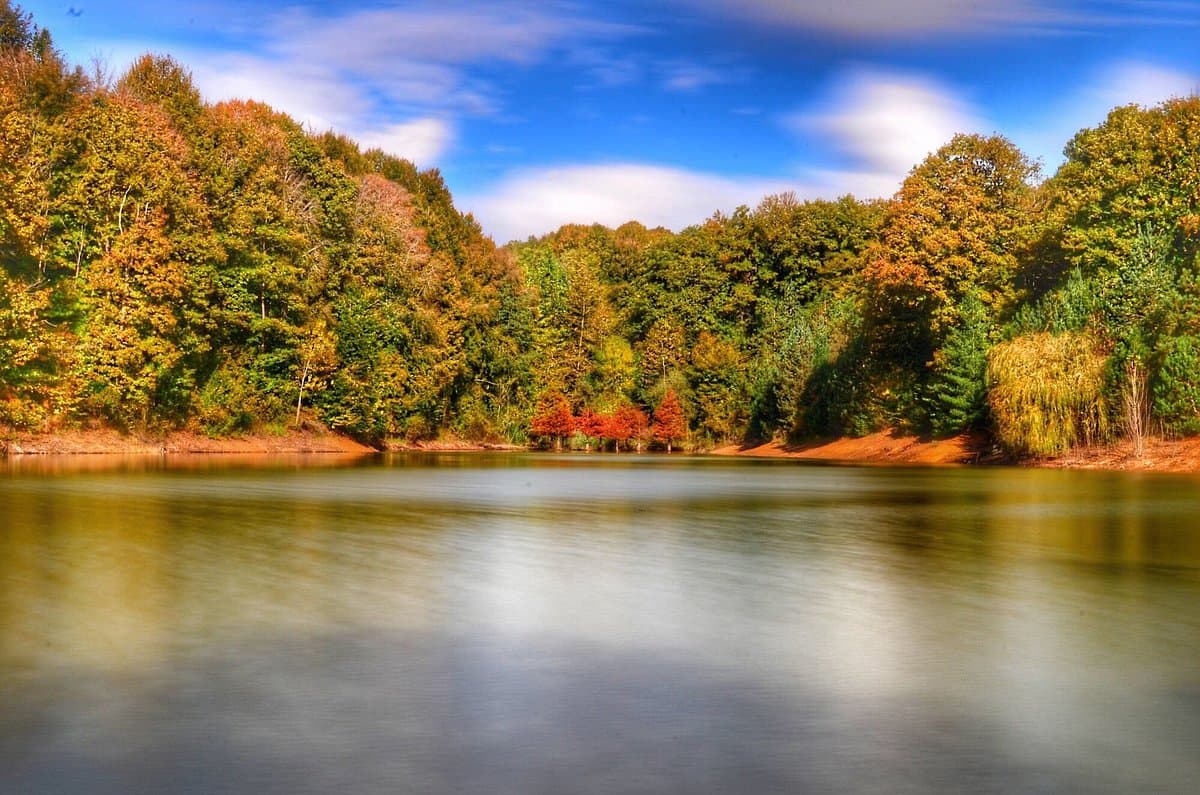 Atatürk-Arboretum