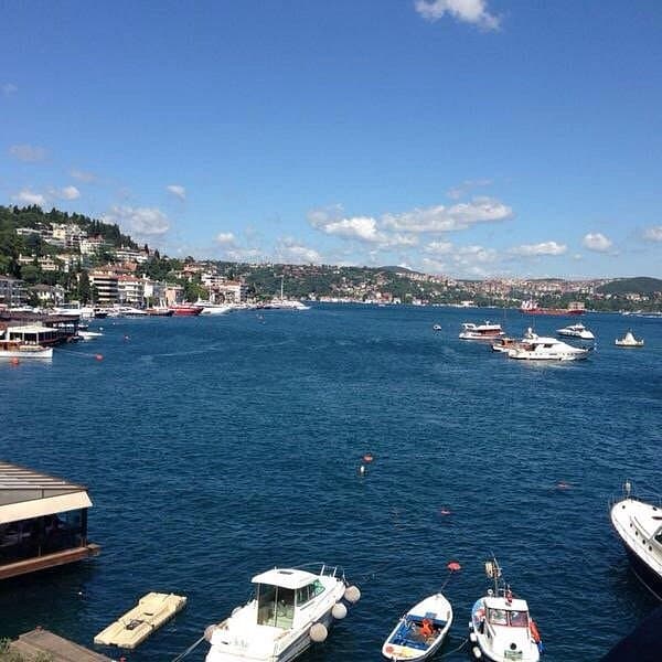 Bebek Park