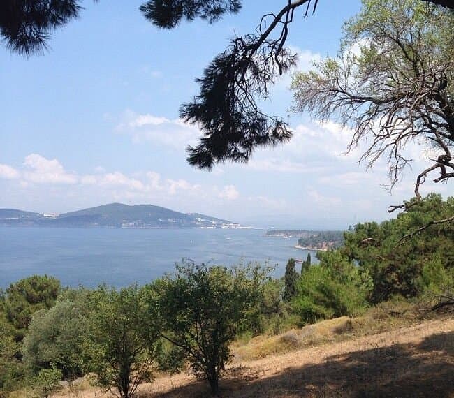 Naturpark Büyükada