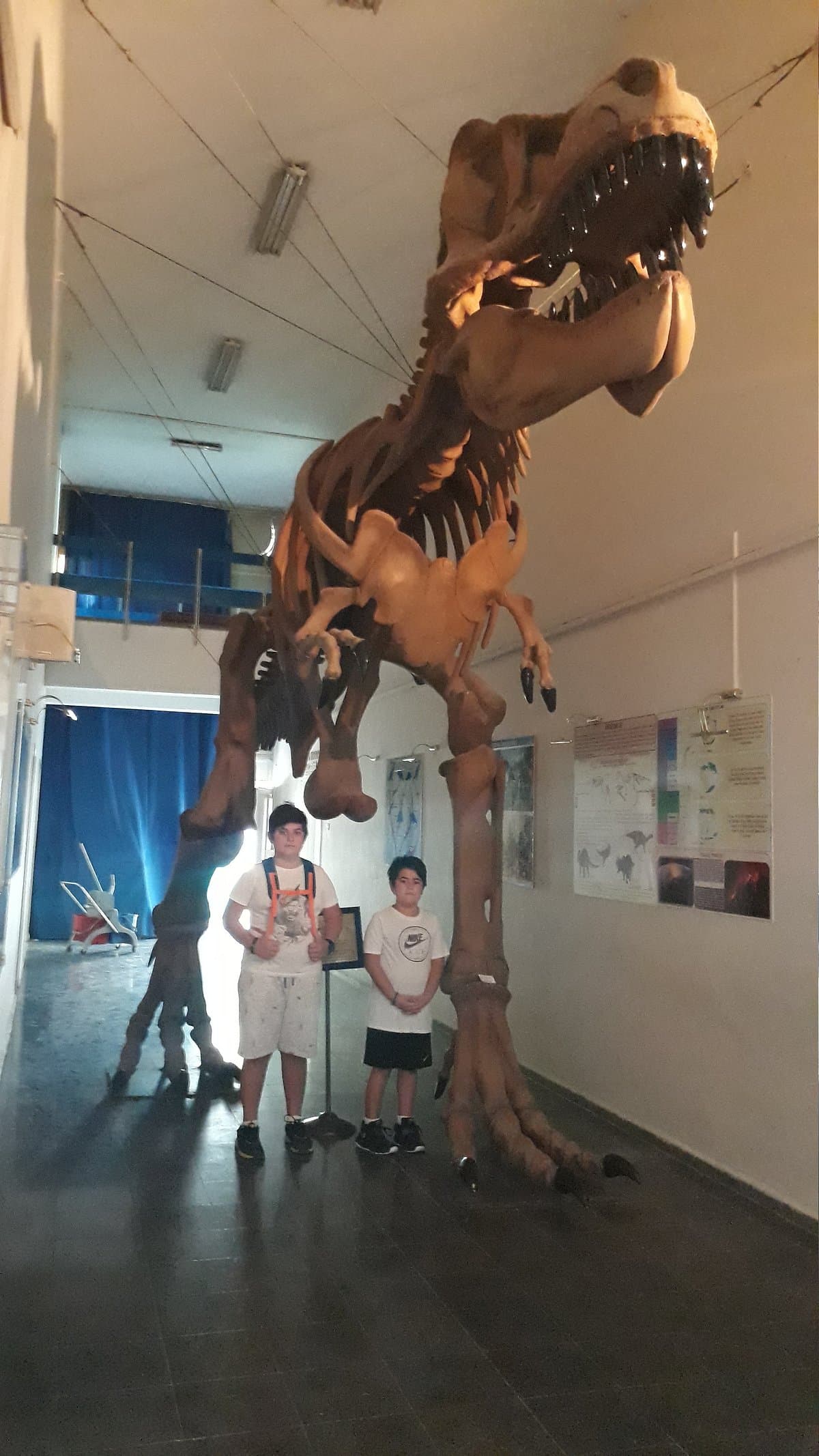 Naturhistorisches Museum