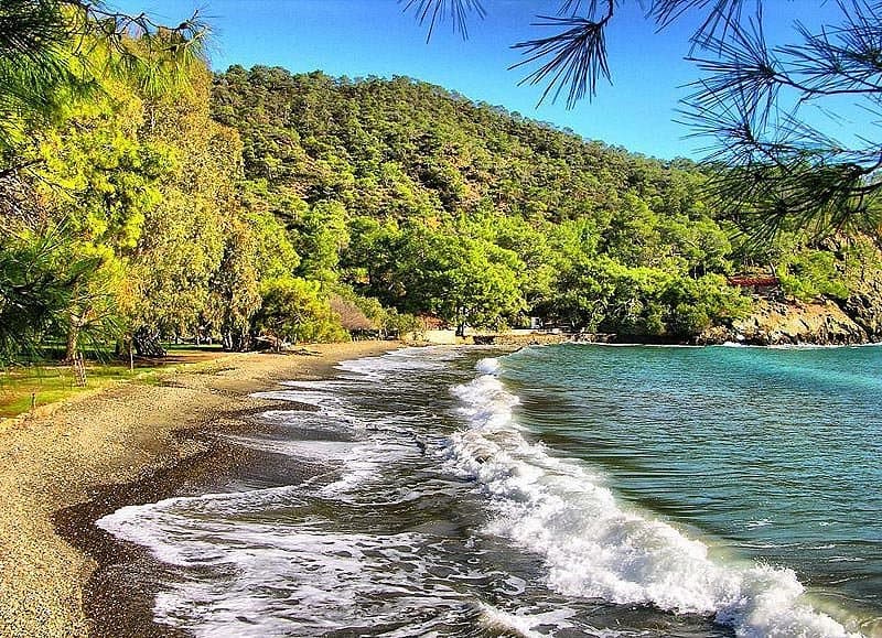 Katrancı Bay Nature Park cover image