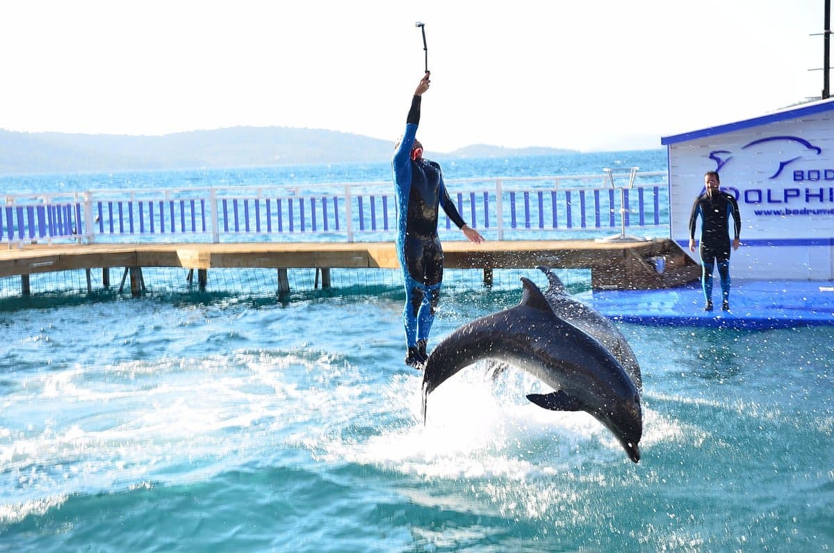 Bodrum Delfinpark