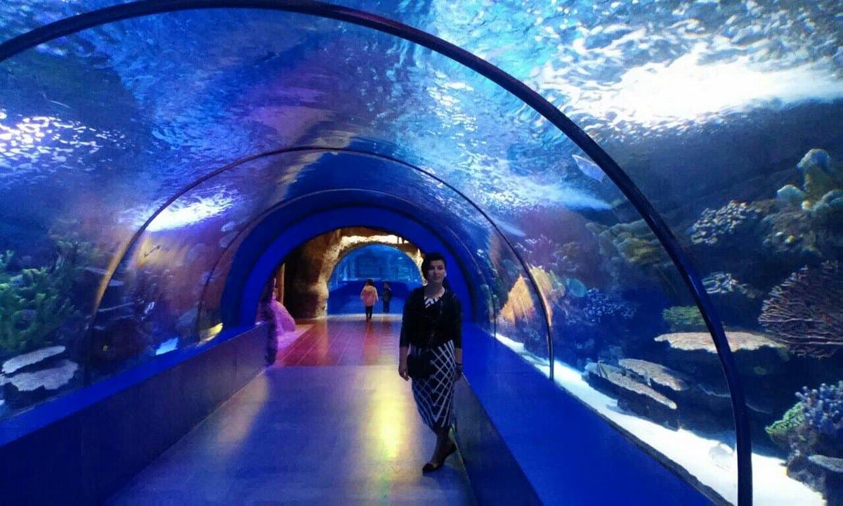 Antalya Aquarium