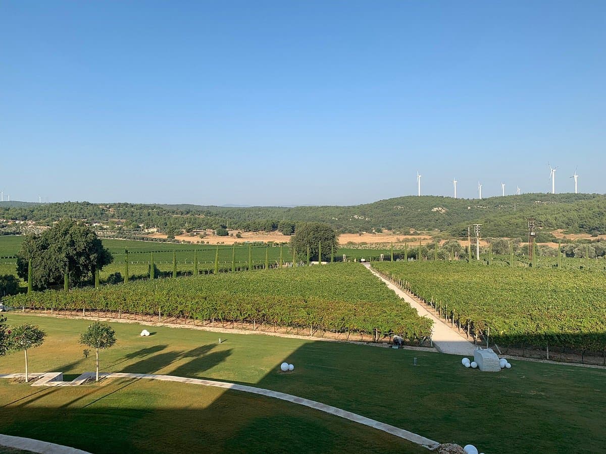 Weingut Urla