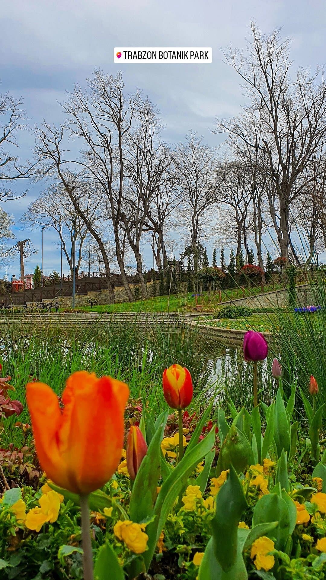 Botanischer Park Trabzon