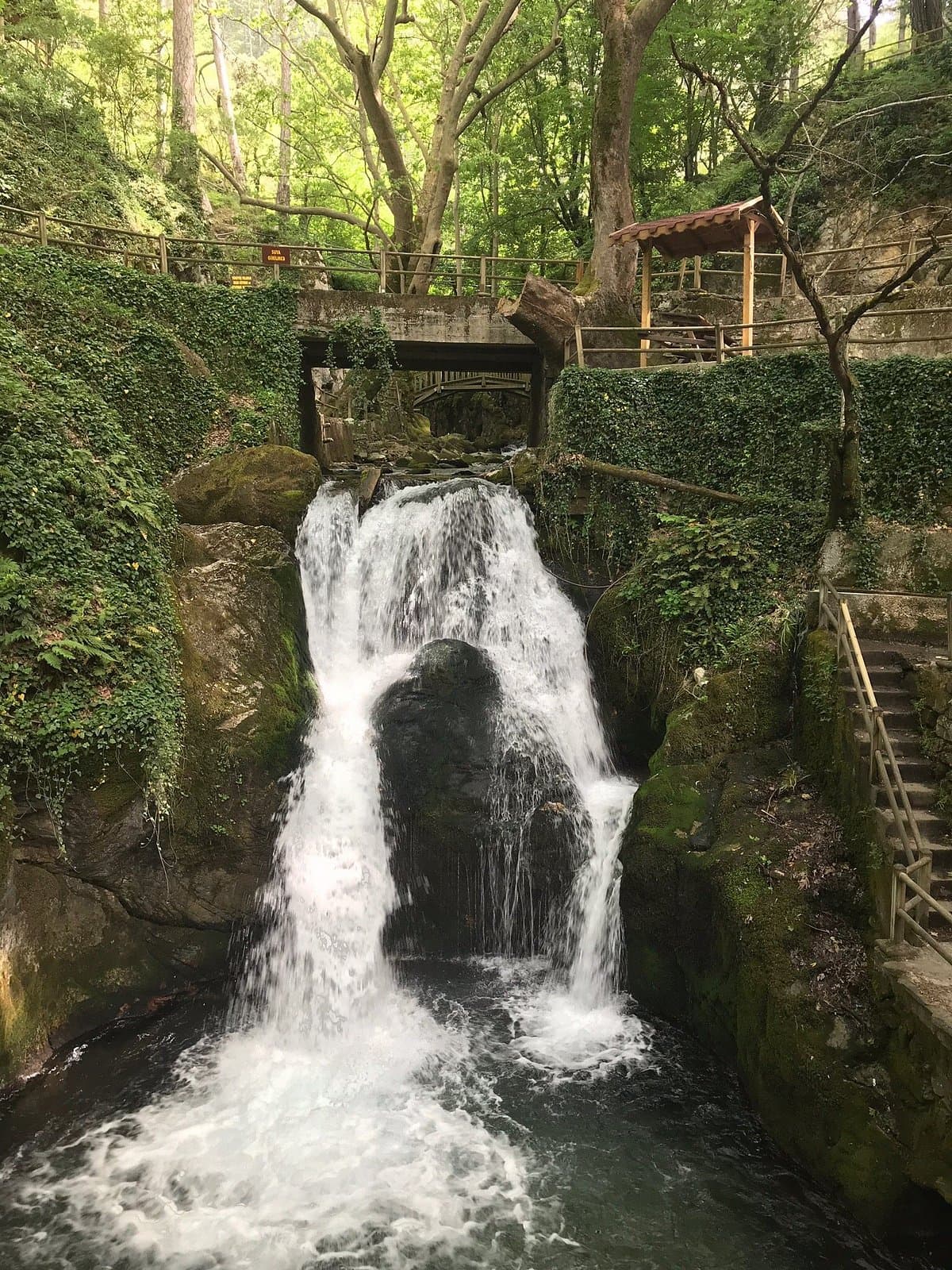Ayazmapinari Nature Park cover image