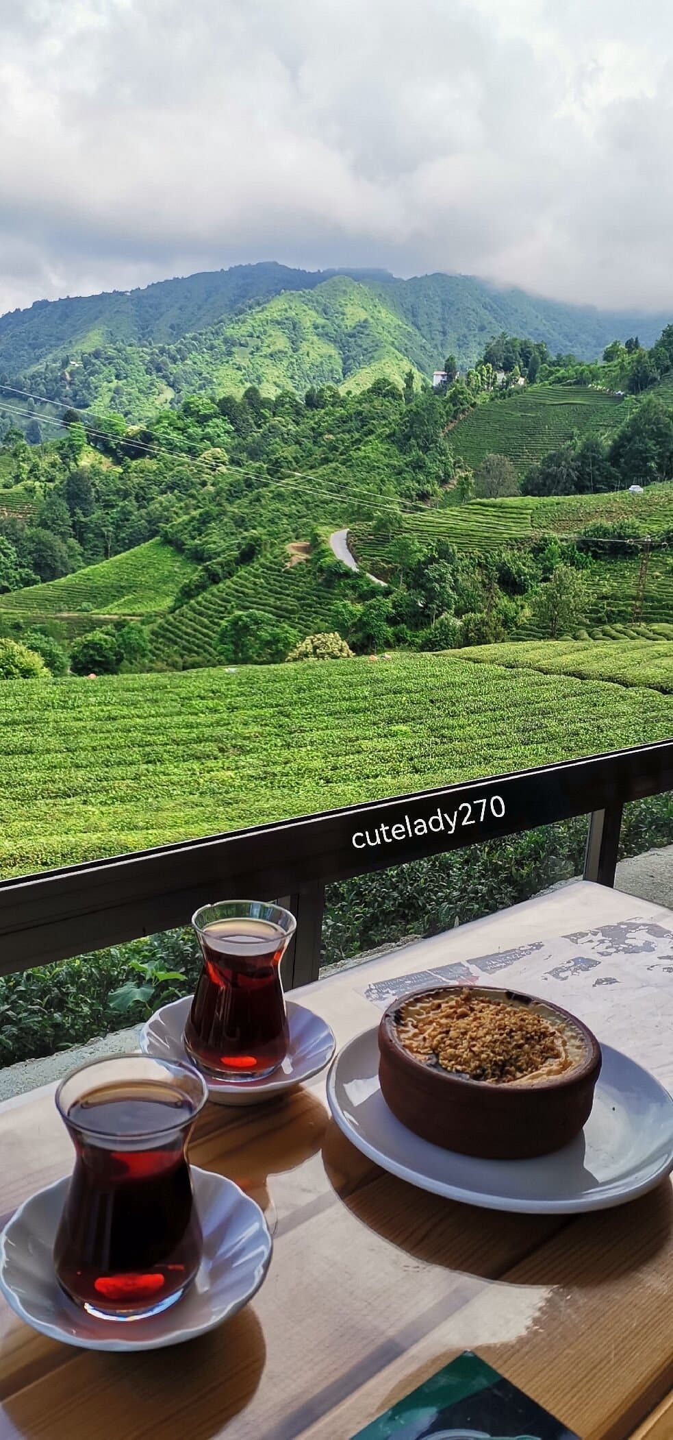 Teegärten Ceceva Koyu-Haremtepe
