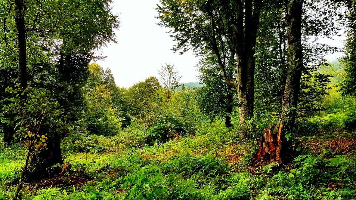 Nebiyan-Berg