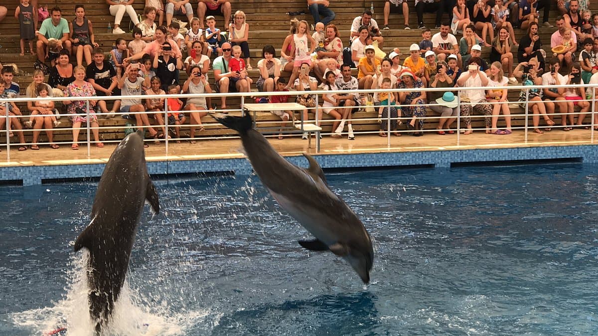 Aksu Delfinarium
