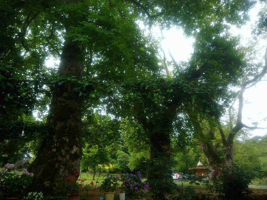 Picknickplatz Cumayanı