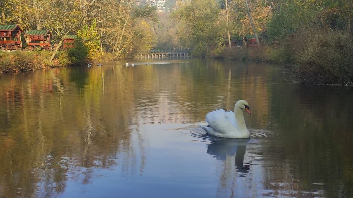 Degirmen Bogazi Park